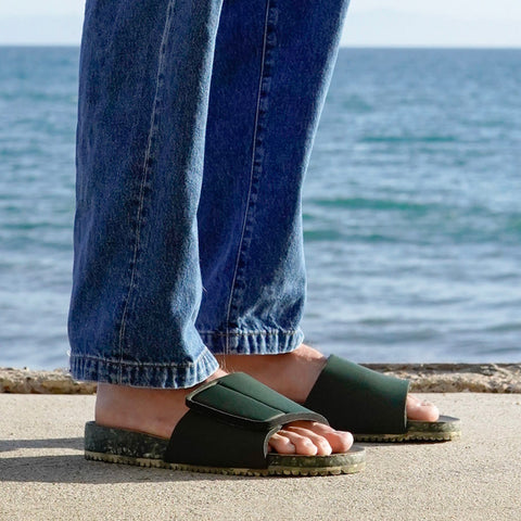 Campus Point Slide - Olive