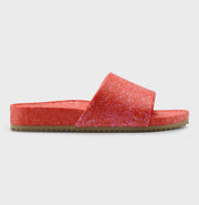 Starfish Slide